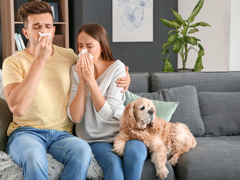 allergiebehandlung